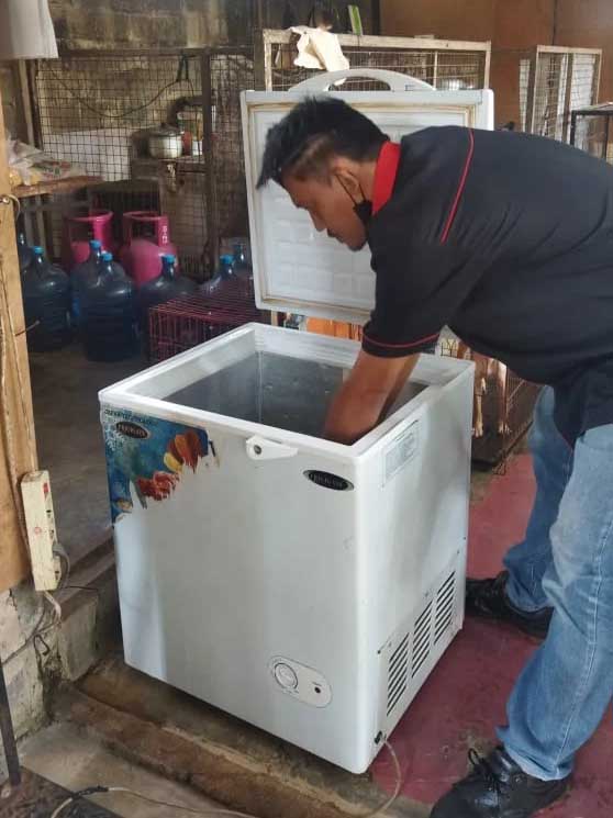 Freezer Repair